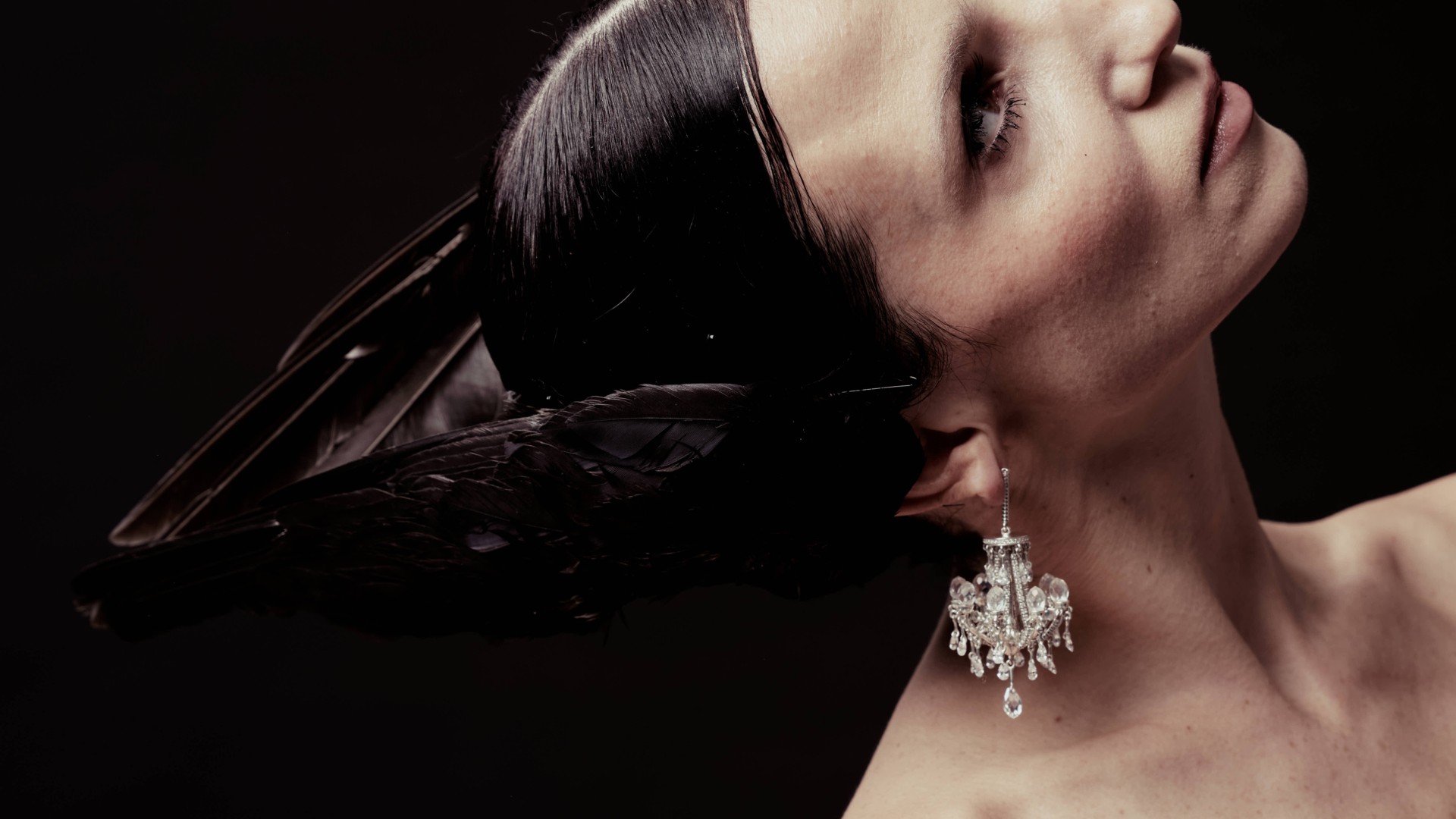 Collection01 image
